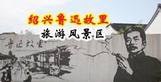 江苏税务电子网站首页中国绍兴-鲁迅故里旅游风景区